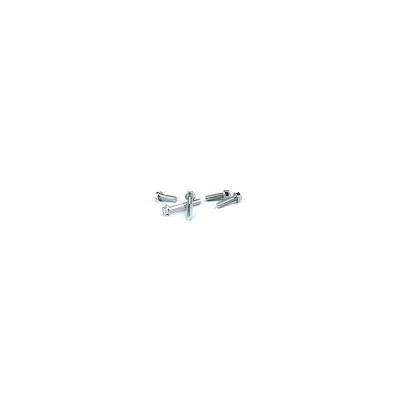 Viti Japan Style M6 e M8 917  Kits-visserie