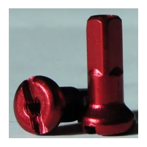 Nipples Raggi Kite singoli 1323