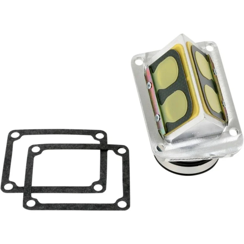 Pacco Lamellare Boyesen - Kawasaki KX 125 2003 RAD11J