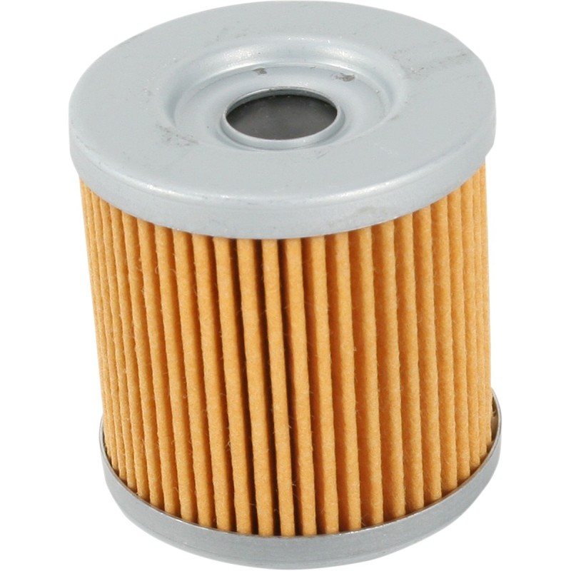 Filtro Olio motore HIFLO HF563