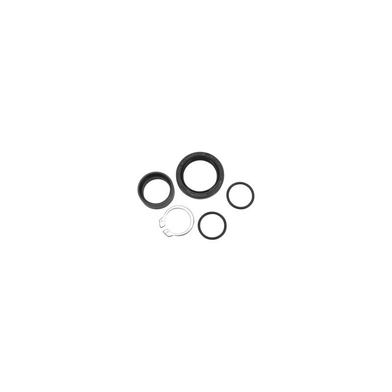 kit revisione paraolio pignone 09350434