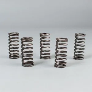 Clutch spring kit Ebc 17.CS63011 Prox Kupplung