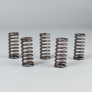 Clutch spring kit Ebc 17.CS63011 Prox Embrayage