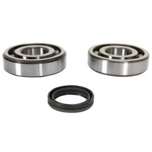 Crankshaft bearings kit with oil seals 4t - KXF 250 04-016 09240356 Prox Dichtungen & Lager
