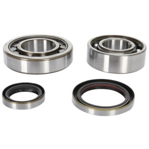Crankshaft bearings kit with oil seals 2t - KTM SX 250 04-017 - EXC 250 06-017 09240365 Prox Roulements et joints