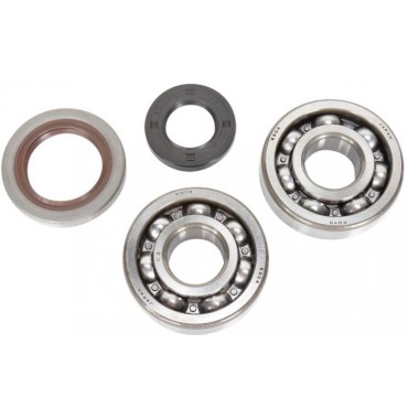 Crankshaft bearings kit with oil seals 2t - KTM SX 65 09-017 09240361 Prox Dichtungen & Lager