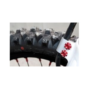 Viti Fissaggio Tubo Freno Su Parastelo Geco CRF 250/450 M6 Rosse 100.027.004
