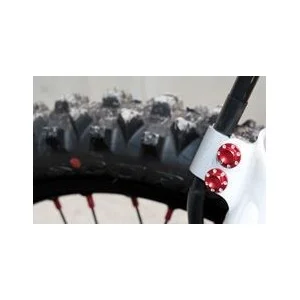 Viti Fissaggio Tubo Freno Su Parastelo Geco CRF 250/450 M6 Rosse 100.027.004