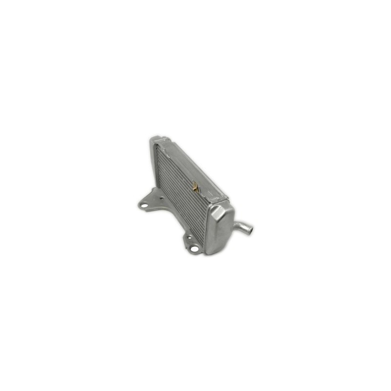 Radiatore KSX sinistro -Honda 19010568