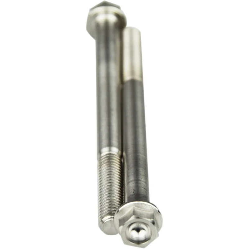 Titanium screws (2 pcs)