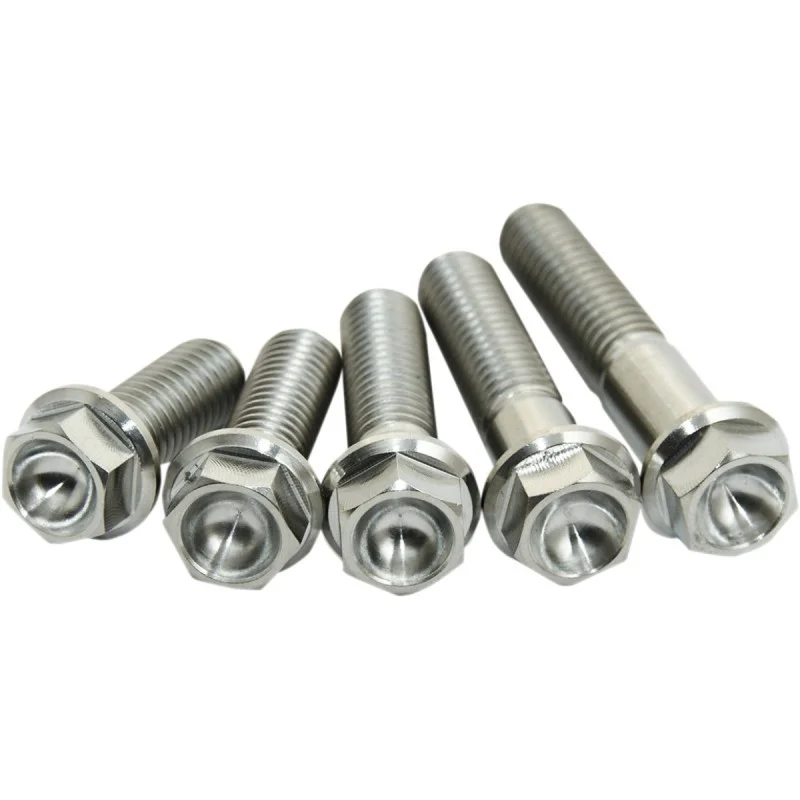 Titanium screws (4 pcs)