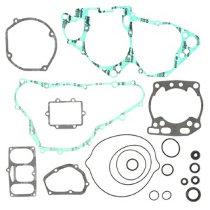 Guarnizioni motore con paraoli Suzuki RM 250 1996-1998