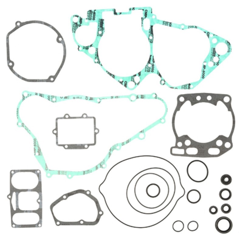 Complete gasket set with oil seals Suzuki RM 250 1996-1998