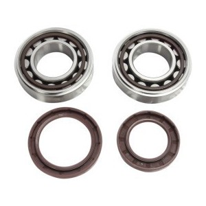 Cuscinetti di banco HotRods SXF/EXCF/FC/FE 250/350 2016-