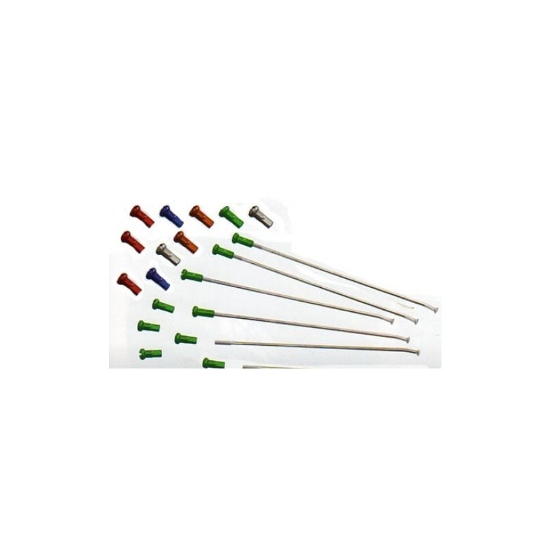 Spokes & Nipples Rear 12 pz Kite 299 Kite Rayons et Accessoires