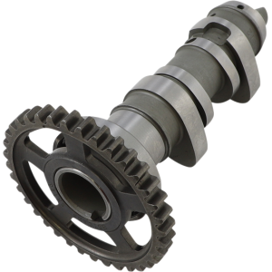 Albero a camme Hot Cams Honda CRF 450 09 stage 2