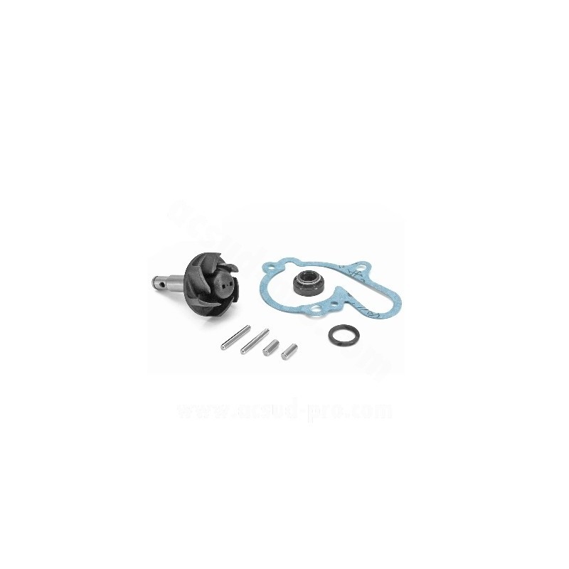 MECHANISM OF WATER DELIVERY PUMP TO FIT AM6