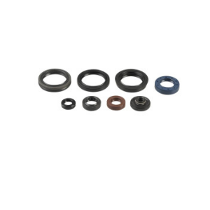 Kit revisione completo paraoli motore RMZ 250 07-018 P400510400050