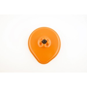 Coperchio cassa filtro twin air TM