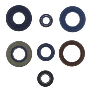 Kit paraoli motore Minarelli verticale AM6