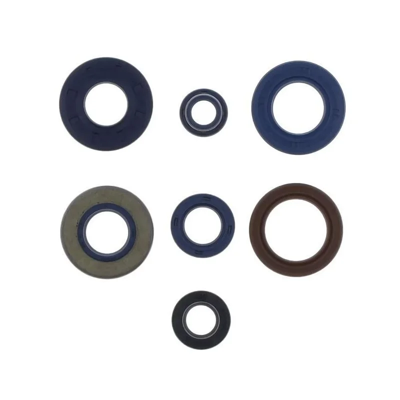 Kit paraoli motore Minarelli verticale AM6