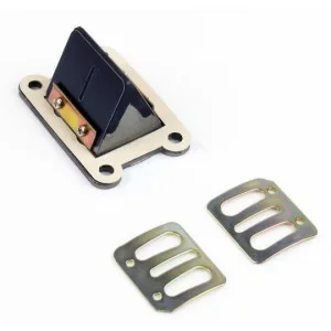 Intake Reed Valves Minarelli AM6