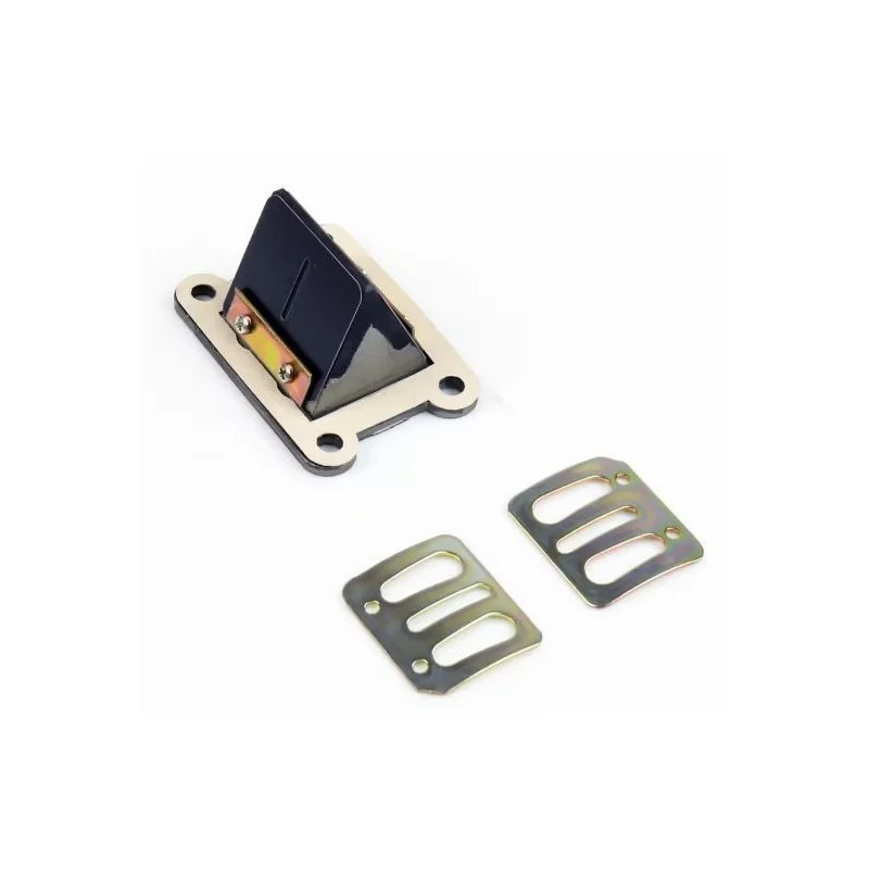 Intake Reed Valves Minarelli AM6