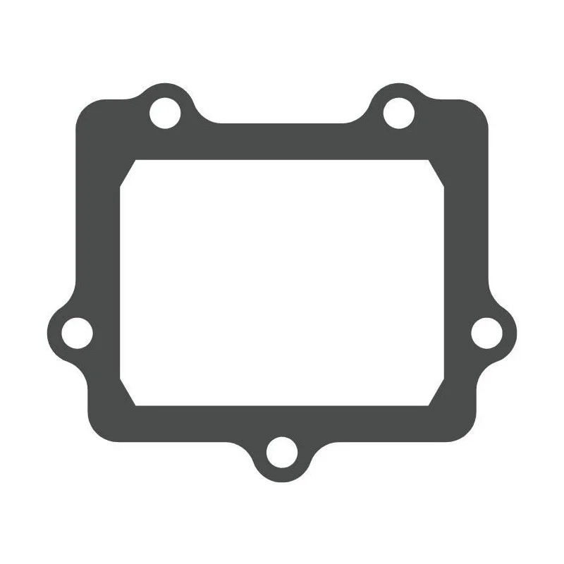 Membran dichtung Yamaha YZ 250 Fantic XX-XE 250 Suzuki RM 250 03-08 Kawasaki KX 250 05-08