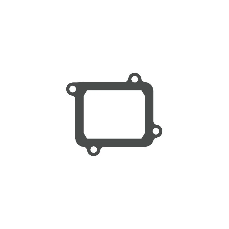 Membran dichtung Yamaha YZ 125|Fantic XX XE 125