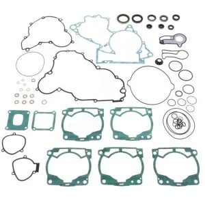 Guarnizioni complete con paraoli - Ktm - Husqvarna 250 - 300