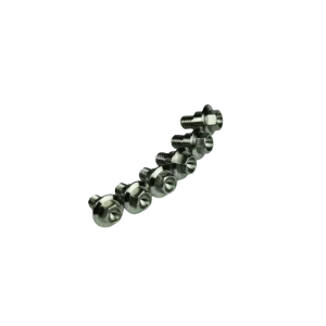 Kit viteria parasteli in titanio (6 pezzi)