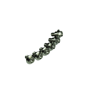 Titanium screws (6 pcs)