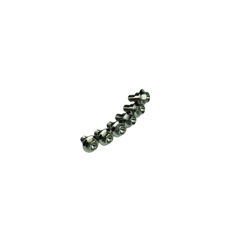 Titanium screws (6 pcs)