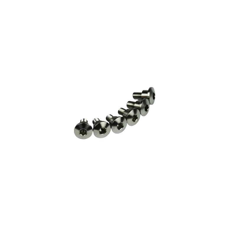 Titanium screws (6 pcs)