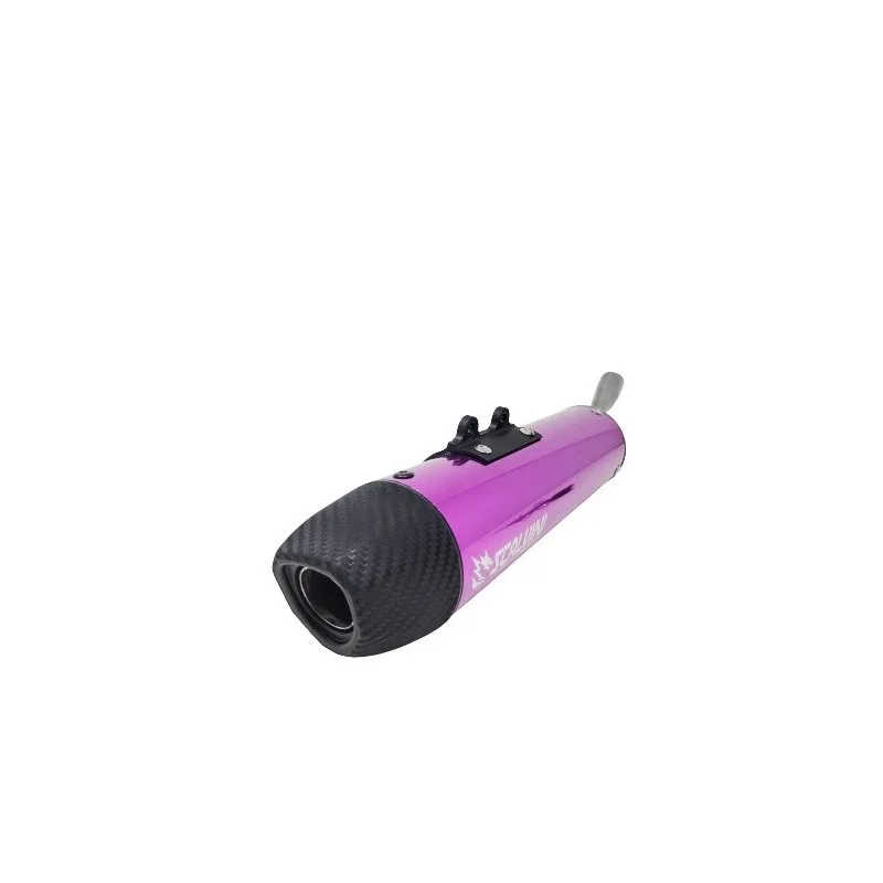 Silencer Scalvini "purple" | TM 125 Fi 2022+