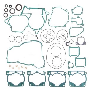 Engine gaskets with oil seals | Beta RR X-Trainer 250 300