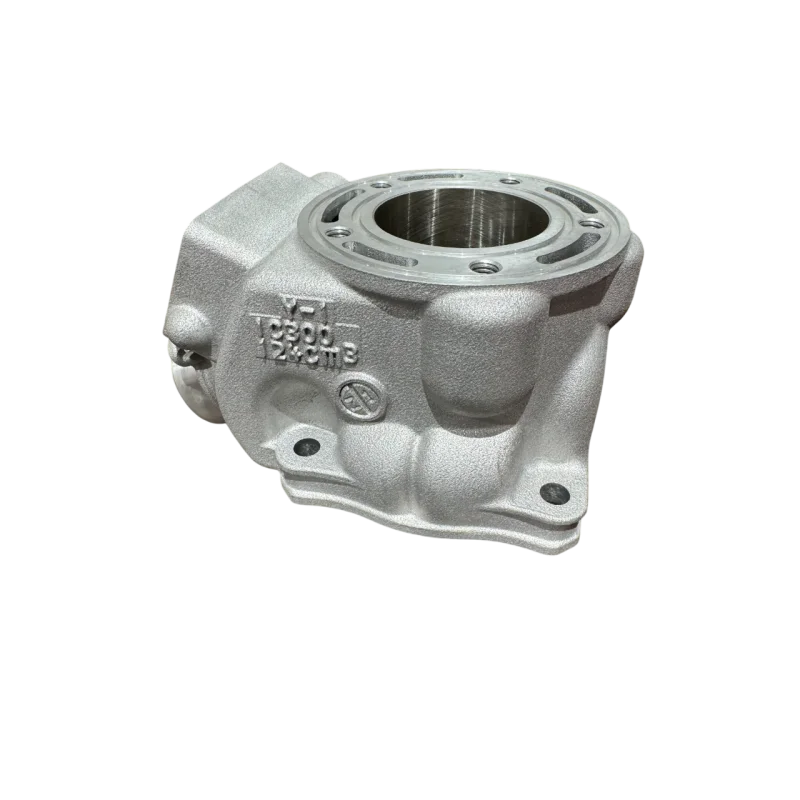 Cilindro originale Fantic XX 125 21 / XE 125 21-22 / Yamaha YZ 125 05-21