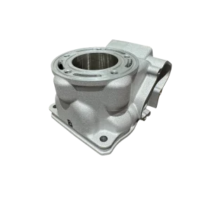 Oem cylinder Fantic XX 125 21 / XE 125 21-22 Yamaha YZ 125 05-21
