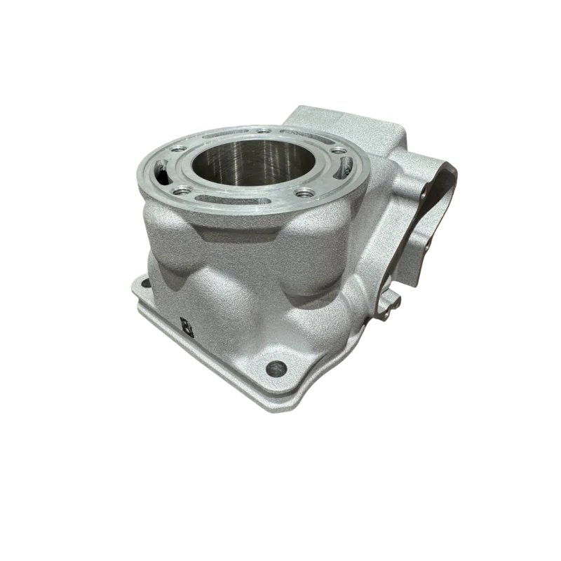 Cilindro originale Fantic XX 125 21 / XE 125 21-22 / Yamaha YZ 125 05-21