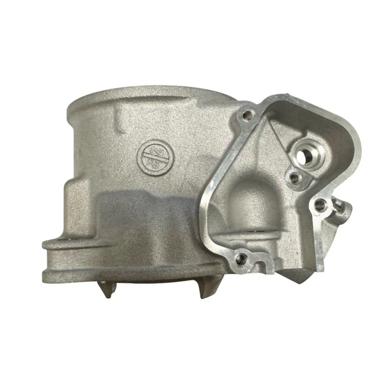 Oem cylindre Fantic XX 125 22+ / XE 125 23+ / Yamaha YZ 125 22+