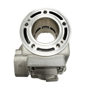 Oem Zylinder Fantic XX 125 22+ / XE 125 23+ / Yamaha YZ 125 22+
