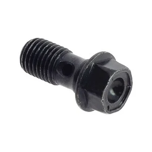 Vite raccordo idraulico Nissin 44AA46