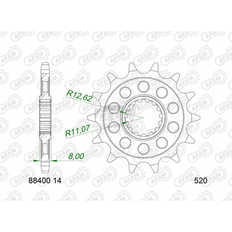 Ritzel Afam | Triumph TF 250