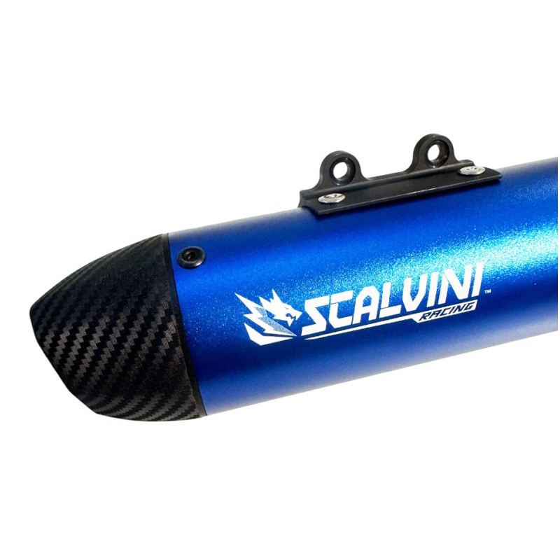 Silencer Scalvini "blu-carbon" | TM 125 Fi 2025+