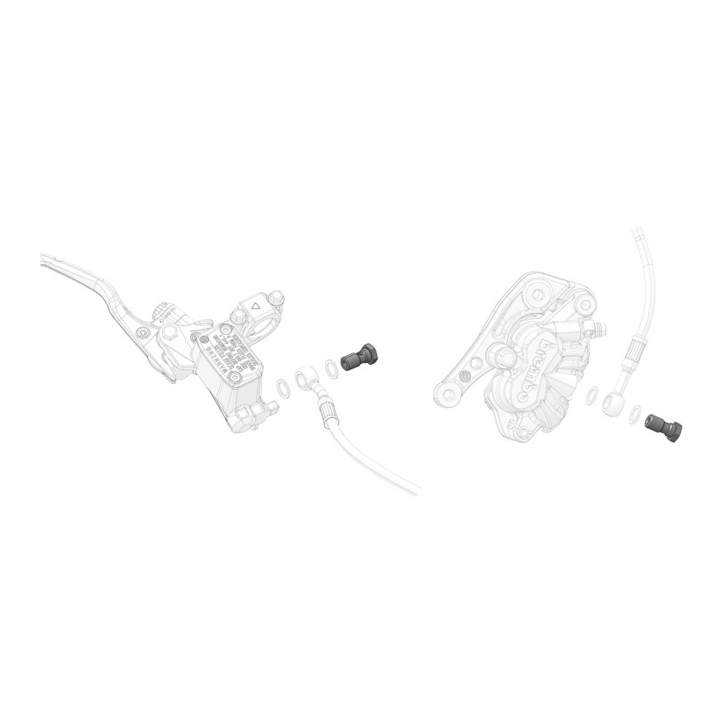 Banjo bolt rear brake system Brembo