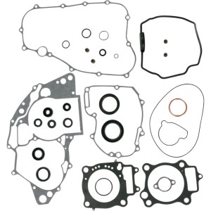 Complete Gasket and Oil Seal Kit | CRF 250 08-09