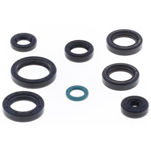 Motor-Dichtring kit | TM 125 2015-2024