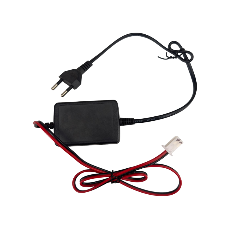 CARICABATTERIE 12 v per piccole batterie al piombo
