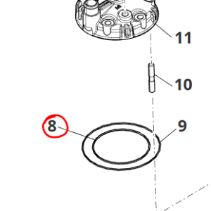 Oring Viton D80x2 | Fantic XE 300 2024+