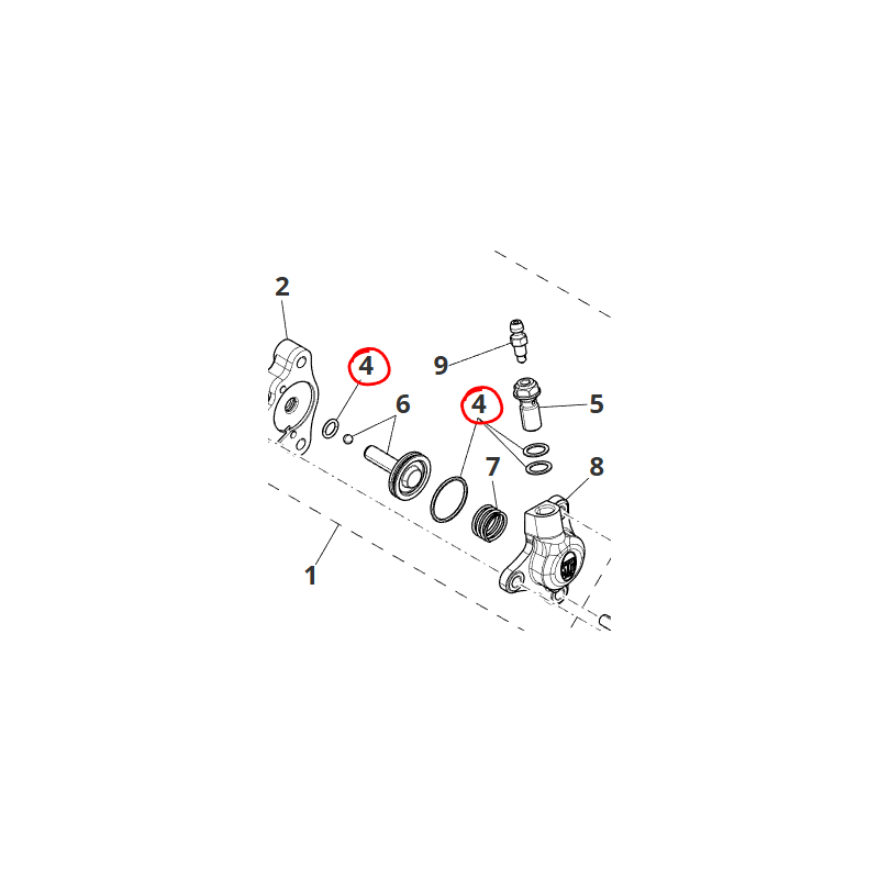 Clutch Slave Cylinder Rebuild Kit | Fantic XE 300 2024+